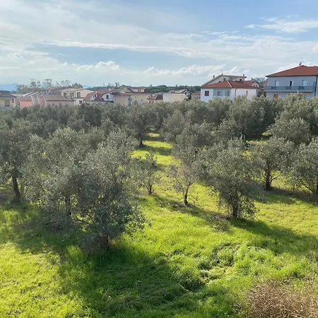 Almond Madonna Della Pace