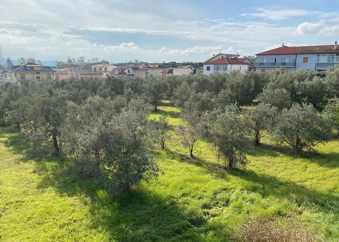 Almond Madonna Della Pace